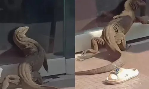 അയ്യോ.. ഇത് ഞാൻ തന്നെയല്ലേ..; എ.ടി എമ്മിന് പുറത്ത് ക്ഷണിക്കാതെ എത്തിയ ഒരു അതിഥി; ഗ്ലാസിലെ സ്വന്തം പ്രതിബിംബം കണ്ട് വെപ്രാളം; ഉടുമ്പിനെ കാണാൻ തടിച്ചുകൂടിയത് നിരവധി പേർ