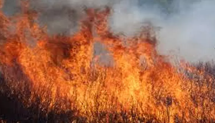 മലപ്പുറം വള്ളുവമ്പ്രത്ത് വന് തീപിടിത്തം; വെളിച്ചെണ്ണ മില്ലിന് തീ പിടിച്ചു കത്തുന്നു മലപ്പുറം വള്ളുവമ്പ്രത്ത് വന് തീപിടിത്തം; വെളിച്ചെണ്ണ മില്ലിന് തീ പിടിച്ചു കത്തുന്നു