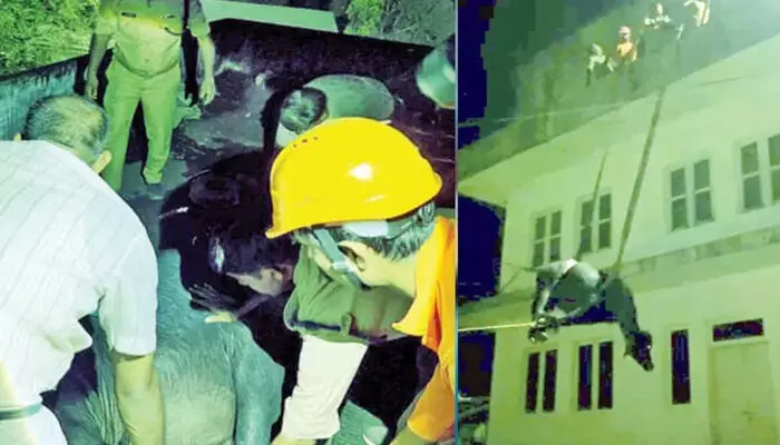 വിരണ്ടോടിയ പോത്ത് ബഹുനില കെട്ടിടത്തിന്റെ മുകളില് കയറി; താഴെ ഇറക്കിയത് അഗ്നിരക്ഷാ സേന എത്തി വിരണ്ടോടിയ പോത്ത് ബഹുനില കെട്ടിടത്തിന്റെ മുകളില് കയറി; താഴെ ഇറക്കിയത് അഗ്നിരക്ഷാ സേന എത്തി