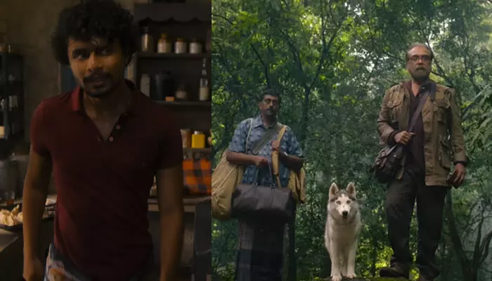 കിഷ്കിന്ധാ കാണ്ഡം സംവിധായകൻ ദിൻജിത്ത് അയ്യത്താൻ ഒരുക്കുന്ന എക്കോ; പടക്കളത്തിന് ശേഷം സന്ദീപ് പ്രദീപ് നായകനായെത്തുന്ന ചിത്രത്തിന്റെ ടീസർ പുറത്ത്