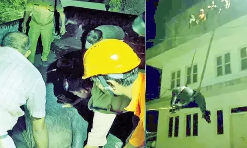 വിരണ്ടോടിയ പോത്ത് ബഹുനില കെട്ടിടത്തിന്റെ മുകളില്‍ കയറി; താഴെ ഇറക്കിയത് അഗ്നിരക്ഷാ സേന എത്തി