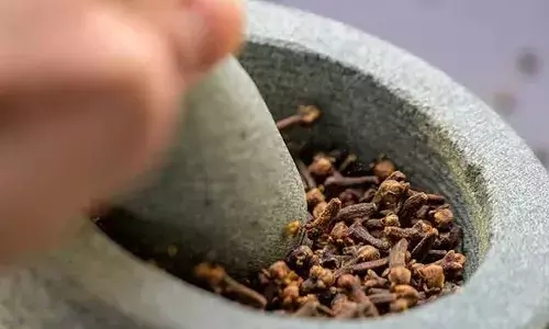 ഭക്ഷണത്തിന് ശേഷം ഗ്രാമ്പൂ ചുമ്മാ..ഒന്ന് ചവച്ചരച്ച് കഴിച്ചുനോക്കൂ..; ആരോഗ്യഗുണങ്ങള്‍ എന്തൊക്കെയാണെന്ന് നോക്കാം; പഠനങ്ങൾ പറയുന്നത്