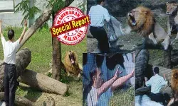 പാസ്റ്റർ ബൈബിളുമായി ചെന്ന് കയറിയത് നേരെ സിംഹങ്ങളുടെ മടയിൽ; ഇതെല്ലാം കൂർത്ത കണ്ണുകളുമായി മരച്ചുവട്ടിൽ ശ്രദ്ധിച്ചിരുന്ന് മുഫാസ; പൊടുന്നനെ അവരുടെ മുന്നിൽ നിന്ന് സുവിശേഷം പ്രസംഗം; യേശു.. നിങ്ങളെ ഇതാ..രക്ഷിക്കുന്നുവെന്ന വാക്കിൽ കേട്ടത് ജീവൻ പോകുന്ന നിലവിളി; ഇത് അതിമാരകമായ കടിയേറ്റിട്ടും അത്ഭുതകരമായി രക്ഷപ്പെട്ട പാസ്റ്ററുടെ ജീവിതകഥ