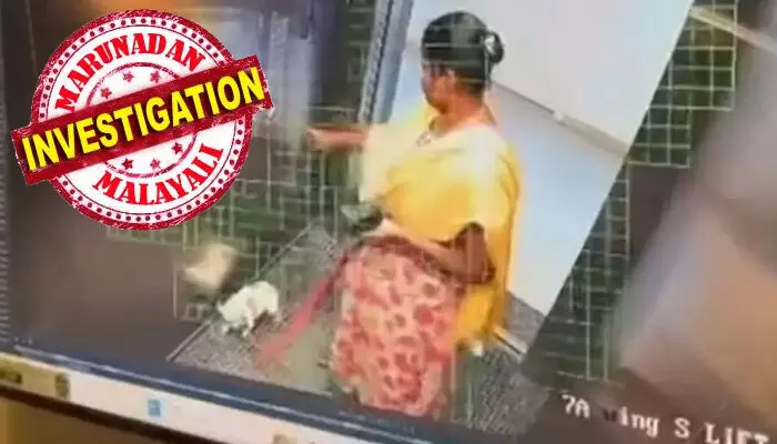 വളർത്തുനായയെ ലിഫ്റ്റിനുള്ളിലെ ഭിത്തിയിലിടിച്ചുകൊന്നു; വീട്ടിൽനിന്ന് വിലപിടിപ്പുള്ള വസ്തുക്കൾ മോഷ്ടിച്ചതിന് താക്കീത് നൽകിയതിന്റെ പ്രതികാരമെന്ന് സംശയം; 29 കാരിയെ കുരുക്കിയത് സിസിടിവി ദൃശ്യങ്ങൾ