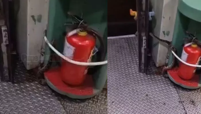 ഓടിക്കൊണ്ടിരുന്ന ആന്‍ഡമാന്‍ എക്സ്പ്രസ് സ്ലീപ്പര്‍ കോച്ചിലെ ചവറ്റുകൊട്ടയില്‍ അനക്കം; യാത്രക്കാര്‍ നോക്കിനില്‍ക്കെ തലപൊക്കി പുറത്തുവന്നത് പെരുമ്പാമ്പ്