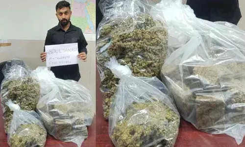 നെടുമ്പാശേരിയില്‍ വന്‍ ലഹരിവേട്ട; ആറര കോടിയുടെ ഹൈബ്രിഡ് കഞ്ചാവുമായി വയനാട് സ്വദേശിയായ യുവാവ് അറസ്റ്റില്‍: ലഹരി കടത്തിയത് ഭക്ഷണ പായ്ക്കറ്റുകളില്‍ ഒളിപ്പിച്ച്