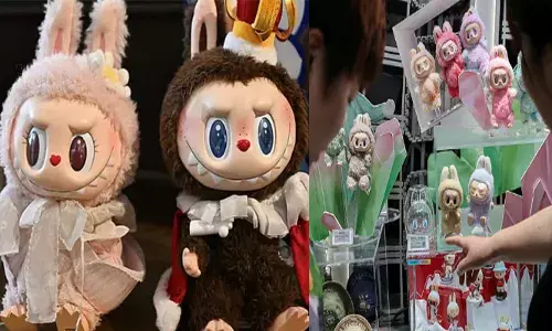 ഇത് അപകടകരമായ വസ്തു; ‘ലബുബു’ കളിപ്പാട്ടങ്ങളെ വിലക്കി കുവൈറ്റ്; വിൽപ്പന പൂർണമായും നിരോധിച്ച് അധികൃതർ