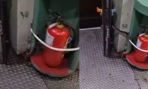 ഓടിക്കൊണ്ടിരുന്ന ആന്‍ഡമാന്‍ എക്സ്പ്രസ് സ്ലീപ്പര്‍ കോച്ചിലെ ചവറ്റുകൊട്ടയില്‍ അനക്കം; യാത്രക്കാര്‍ നോക്കിനില്‍ക്കെ തലപൊക്കി പുറത്തുവന്നത് പെരുമ്പാമ്പ്