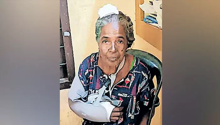 നിലവിളക്ക് കൊണ്ട് തലയ്ക്കടിച്ചു; പിന്നിലൂടെ എത്തി കഴുത്തില്‍ കുത്തി പിടിച്ചു; മോഷണത്തിനിടെ അതിഥിത്തൊഴിലാളിയുടെ ആക്രമണത്തിന് ഇരയായ വയോധിക ആശുപത്രി വിട്ടു