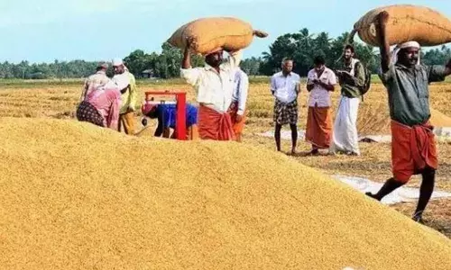 നെല്ല് സംഭരണ പ്രതിസന്ധിയില്‍ പ്രതിഷേധം ശക്തം; ശനിയാഴ്ച മന്ത്രിതല യോഗം