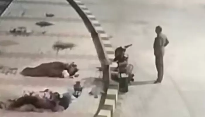 ബസ് സ്റ്റാൻഡിൽ ഉറങ്ങിക്കിടന്ന സ്ത്രീയോട് ലൈംഗികാതിക്രമം; സിസിടിവി കേന്ദ്രീകരിച്ച് അന്വേഷണം; പിടിയിലായത് ട്രാൻസ്പോർട്ട് ബസ് ഡ്രൈവർ ബസ് സ്റ്റാൻഡിൽ ഉറങ്ങിക്കിടന്ന സ്ത്രീയോട് ലൈംഗികാതിക്രമം; സിസിടിവി കേന്ദ്രീകരിച്ച് അന്വേഷണം; പിടിയിലായത് ട്രാൻസ്പോർട്ട് ബസ് ഡ്രൈവർ