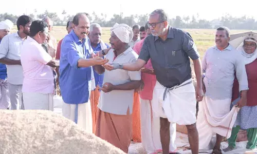 ഇതുവരെ സംഭരിച്ച നെല്ലിന്റെ വില തിങ്കളാഴ്ച മുതല്‍ 30 രൂപ നിരക്കില്‍ നല്‍കും; ചൊവ്വാഴ്ച മുതല്‍ എഫ്.സി.ഐയുമായും സെന്‍ട്രല്‍ വെയര്‍ ഹൗസിംഗ് കോര്‍പ്പറേഷനുമായും സഹകരിച്ച് നെല്ല് സംഭരിക്കും