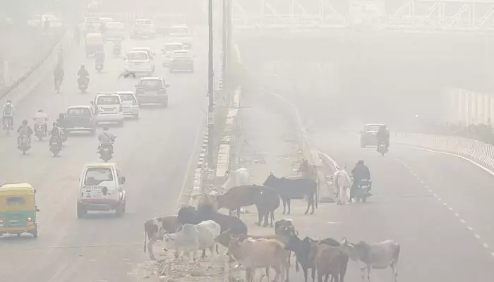 വായു മലീനീകരണം രൂക്ഷം: ഡല്‍ഹി സര്‍ക്കാര്‍ ഓഫീസ് ജീവനക്കാര്‍ക്ക് വര്‍ക്ക് ഫ്രം ഹോം പ്രഖ്യാപിച്ചു