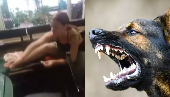 കോവളം ബീച്ചിൽ റഷ്യൻ വനിതയ്ക്ക് തെരുവുനായയുടെ കടിയേറ്റു; മറ്റ് മൂന്നുപേരെയും ആക്രമിച്ചതായി പ്രദേശവാസികൾ കോവളം ബീച്ചിൽ റഷ്യൻ വനിതയ്ക്ക് തെരുവുനായയുടെ കടിയേറ്റു; മറ്റ് മൂന്നുപേരെയും ആക്രമിച്ചതായി പ്രദേശവാസികൾ