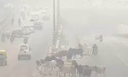 വായു മലീനീകരണം രൂക്ഷം: ഡല്ഹി സര്ക്കാര് ഓഫീസ് ജീവനക്കാര്ക്ക് വര്ക്ക് ഫ്രം ഹോം പ്രഖ്യാപിച്ചു വായു മലീനീകരണം രൂക്ഷം: ഡല്ഹി സര്ക്കാര് ഓഫീസ് ജീവനക്കാര്ക്ക് വര്ക്ക് ഫ്രം ഹോം പ്രഖ്യാപിച്ചു