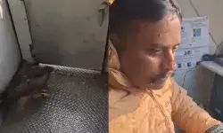 ഓടുന്ന ട്രെയിനിന്റെ എൻജിൻ കാബിനിലെ ചില്ലിൽ പരുന്ത് ഇടിച്ചു; ലോക്കോപെെലറ്റിന് പരിക്ക്; വൈറലായി വീഡിയോ ഓടുന്ന ട്രെയിനിന്റെ എൻജിൻ കാബിനിലെ ചില്ലിൽ പരുന്ത് ഇടിച്ചു; ലോക്കോപെെലറ്റിന് പരിക്ക്; വൈറലായി വീഡിയോ