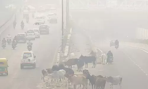 വായു മലീനീകരണം രൂക്ഷം: ഡല്‍ഹി സര്‍ക്കാര്‍ ഓഫീസ് ജീവനക്കാര്‍ക്ക് വര്‍ക്ക് ഫ്രം ഹോം പ്രഖ്യാപിച്ചു