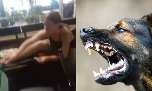 കോവളം ബീച്ചിൽ റഷ്യൻ വനിതയ്ക്ക് തെരുവുനായയുടെ കടിയേറ്റു; മറ്റ് മൂന്നുപേരെയും ആക്രമിച്ചതായി പ്രദേശവാസികൾ കോവളം ബീച്ചിൽ റഷ്യൻ വനിതയ്ക്ക് തെരുവുനായയുടെ കടിയേറ്റു; മറ്റ് മൂന്നുപേരെയും ആക്രമിച്ചതായി പ്രദേശവാസികൾ