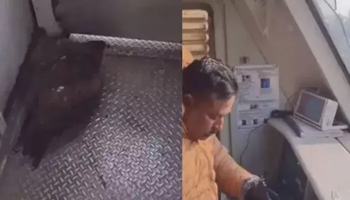 നൂറ് നൂറ്റിപ്പത്ത് സ്പീഡിൽ കുതിച്ചുകൊണ്ടിരുന്ന ട്രെയിനിലേക്ക് മിന്നൽ വേഗതയിൽ ഒരു ജീവി; എൻജിൻ ഭാഗത്തെ ചില്ല് തകർത്തെത്തിയത് കൂറ്റൻ പരുന്ത്; ലോക്കോപെെലറ്റിന് പരിക്ക്; രക്ഷപ്പെട്ടത് ഭാഗ്യം കൊണ്ട്