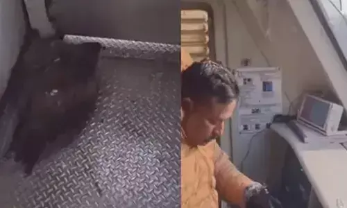 നൂറ് നൂറ്റിപ്പത്ത് സ്പീഡിൽ കുതിച്ചുകൊണ്ടിരുന്ന ട്രെയിനിലേക്ക് മിന്നൽ വേഗതയിൽ ഒരു ജീവി; എൻജിൻ ഭാഗത്തെ ചില്ല് തകർത്തെത്തിയത് കൂറ്റൻ പരുന്ത്; ലോക്കോപെെലറ്റിന് പരിക്ക്; രക്ഷപ്പെട്ടത് ഭാഗ്യം കൊണ്ട്