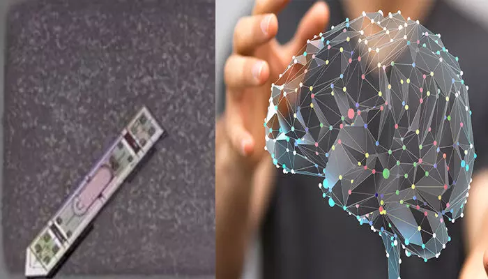 ഇത് തലച്ചോറിൽ ഘടിപ്പിച്ചാൽ...പിന്നെ എല്ലാം യാത്രികമാകും; ലോകത്തെ നിയന്ത്രിക്കാൻ വരെ കഴിവ്; ഏറ്റവും വലിപ്പം കുറഞ്ഞ ബ്രെയിൻ ചിപ്പ് നിർമ്മിച്ചെടുത്ത് ശാസ്ത്രജ്ഞർ; പരീക്ഷണം വിജയം ഇത് തലച്ചോറിൽ ഘടിപ്പിച്ചാൽ...പിന്നെ എല്ലാം യാത്രികമാകും; ലോകത്തെ നിയന്ത്രിക്കാൻ വരെ കഴിവ്; ഏറ്റവും വലിപ്പം കുറഞ്ഞ ബ്രെയിൻ ചിപ്പ് നിർമ്മിച്ചെടുത്ത് ശാസ്ത്രജ്ഞർ; പരീക്ഷണം വിജയം