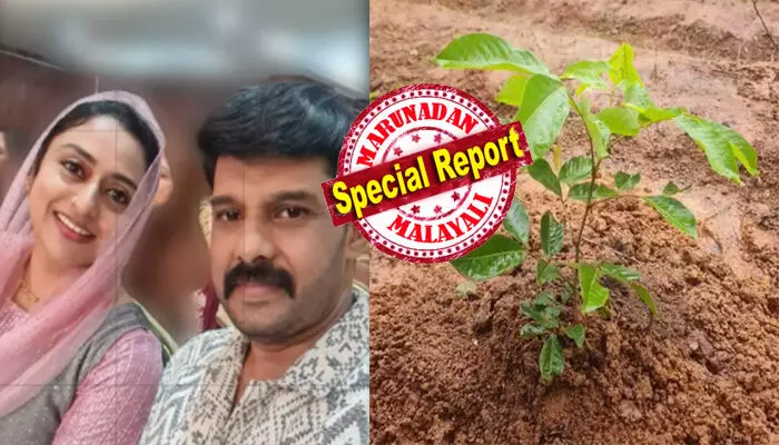 ജീവിച്ചിരിക്കുമ്പോൾ ഉമ്മച്ചിക്ക് തണലായിരുന്നു വാപ്പിച്ചി; ഇപ്പൊ ഉമ്മച്ചി നട്ട ആ മൈലാഞ്ചിച്ചെടികൾ വാപ്പിച്ചിക്ക് തണലാവുന്നു; എല്ലാം പടച്ചവന്റെ തീരുമാനം പോലെ...!!; വിടവാങ്ങിയ പ്രിയ കലാകാരൻ നവാസിന്റെ മക്കളുടെ ഹൃദയം നുറുങ്ങുന്ന കുറിപ്പ്