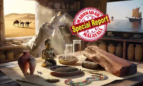 ഒരു ഈജിപ്ഷ്യന്‍ മമ്മിയില്‍ നിന്നും കണ്ടെത്തിയത് കുരുമുളക്; ചെങ്കടല്‍ തീരത്തെ  കോട്ടയില്‍ നിന്നും ബുദ്ധപ്രതിമ;  ഈജിപ്തിനേയും ഇന്ത്യയേയും മെഡിറ്ററേനിയന്‍ മേഖലയേയും തമ്മില്‍ ബന്ധിപ്പിക്കുന്ന പുരാതന വ്യാപാര ശൃംഖലയുടെ തെളിവുകള്‍ കണ്ടെത്തിതായി ഗവേഷകര്‍