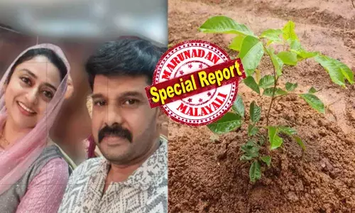 ജീവിച്ചിരിക്കുമ്പോൾ ഉമ്മച്ചിക്ക് തണലായിരുന്നു വാപ്പിച്ചി; ഇപ്പൊ ഉമ്മച്ചി നട്ട ആ മൈലാഞ്ചിച്ചെടികൾ വാപ്പിച്ചിക്ക് തണലാവുന്നു; എല്ലാം പടച്ചവന്റെ തീരുമാനം പോലെ...!!; വിടവാങ്ങിയ പ്രിയ കലാകാരൻ നവാസിന്റെ മക്കളുടെ ഹൃദയം നുറുങ്ങുന്ന കുറിപ്പ്