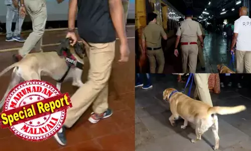 ഡൽഹി സ്ഫോടനം; കേരളത്തിലും ജാഗ്രത നിർദേശം; സുരക്ഷാ പരിശോധനകൾക്കായി ഡോഗ് സ്ക്വാഡും ബോംബ് സ്ക്വാഡും; പരിശോധന റെയിൽവേ സ്റ്റേഷനുകളിലും ബസ് സ്റ്റാൻഡുകളിലും; തിരക്കുള്ള സ്ഥലങ്ങളിൽ പൊലീസ് പട്രോളിംഗ് ശക്തിപ്പെടുത്തും; നിർദ്ദേശം നൽകി പൊലീസ്‌ മേധാവി