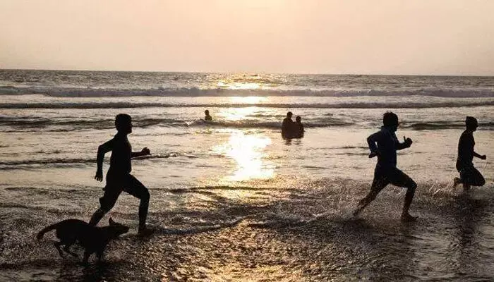 തെരുവുനായകൾ പാഞ്ഞെടുക്കുന്നത് കണ്ട് നേരെ കടലിൽ ചാടി എന്നിട്ടും രക്ഷയില്ല; വളഞ്ഞിട്ടുള്ള ആക്രമണത്തിൽ സവാരിക്കിറങ്ങിയ ആൾക്ക് പരിക്ക്; സംഭവം കോവളത്ത്