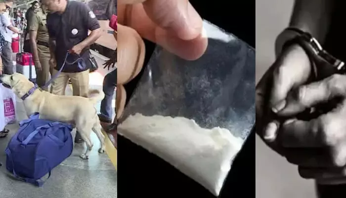 ഓപ്പറേഷന്‍ ഡി -ഹണ്ട്: എം.ഡി.എം.എയും മറ്റു മയക്കുമരുന്നുകളും പിടിച്ചെടുത്തു; 104 പേര്‍ അറസ്റ്റില്‍