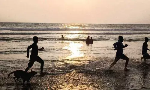 തെരുവുനായകൾ പാഞ്ഞെടുക്കുന്നത് കണ്ട് നേരെ കടലിൽ ചാടി എന്നിട്ടും രക്ഷയില്ല; വളഞ്ഞിട്ടുള്ള ആക്രമണത്തിൽ സവാരിക്കിറങ്ങിയ ആൾക്ക് പരിക്ക്; സംഭവം കോവളത്ത്