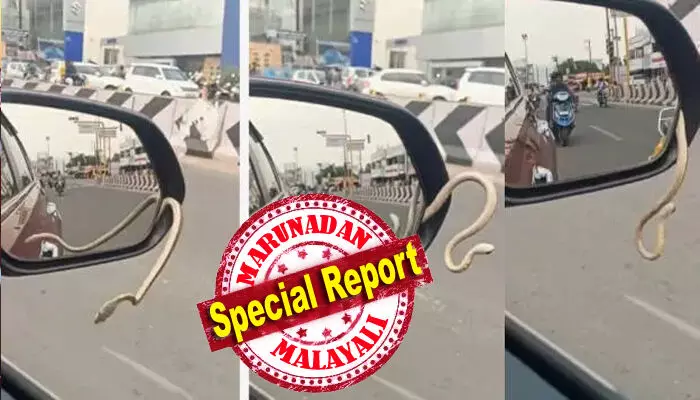 തിരക്കേറിയ റോഡിലൂടെ മുന്നോട്ട് പോകുന്ന കാർ; പൊടുന്നനെ സൈഡ് മിററിൽ അസാധാരണ ചലനം; മിറർ കവറിൽ നിന്ന് പുറത്തുവരാൻ ശ്രമിക്കുന്ന കുഞ്ഞൻ അതിഥി; ആ അപ്രതീക്ഷിത കാഴ്ച കണ്ട് ഞെട്ടി ഡ്രൈവറും യാത്രക്കാരും; പിന്നീട് സംഭവിച്ചത്