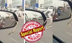 തിരക്കേറിയ റോഡിലൂടെ മുന്നോട്ട് പോകുന്ന കാർ; പൊടുന്നനെ സൈഡ് മിററിൽ അസാധാരണ ചലനം; മിറർ കവറിൽ നിന്ന് പുറത്തുവരാൻ ശ്രമിക്കുന്ന കുഞ്ഞൻ അതിഥി; ആ അപ്രതീക്ഷിത കാഴ്ച കണ്ട് ഞെട്ടി ഡ്രൈവറും യാത്രക്കാരും; പിന്നീട് സംഭവിച്ചത്