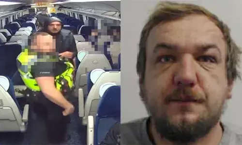 വനിതാ ഡോക്ടറെ തെരുവില്‍ റേപ്പ് ചെയ്ത റൊമേനിയക്കാരന് തടവ്; ജയില്‍ മോചതനായാലും മൂന്ന് വര്‍ഷക്കാലം നിരീക്ഷണത്തില്‍ ആയിരിക്കണമെന്ന് കോടതിവിധി