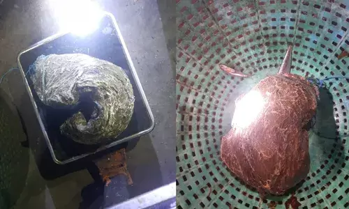 മത്സ്യബന്ധനത്തിനിടെ വലയിൽ കുടങ്ങിയത് തിമിംഗല ഛർദി; കോടികളുടെ മുതൽ കോസ്റ്റല്‍ പൊലീസിന് കൈമാറി മത്സ്യത്തൊഴിലാളികൾ