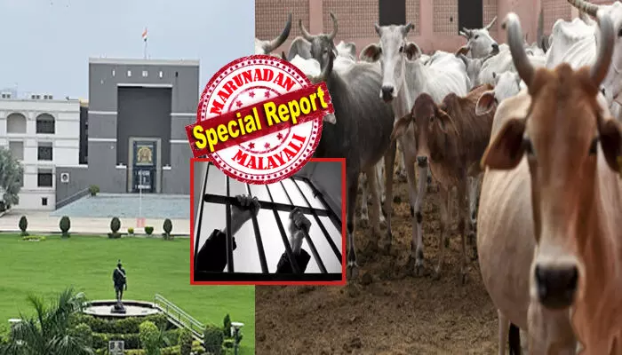 മേലാൽ ഇത് ആവർത്തിക്കരുത്..!!; പശുവിനെ കൊലപ്പെടുത്തിയ കേസിൽ മൂന്നുപേരെ ജീവപര്യന്തം തടവുശിക്ഷയ്ക്ക് വിധിച്ച് അഹമ്മദാബാദ് കോടതി; അവർ അറിഞ്ഞ് കൊണ്ട് ചെയ്തതെന്ന് ജഡ്ജി; അതിവിചിത്ര ഉത്തരവിൽ തല പുകഞ്ഞ് ആളുകൾ; പ്രതികൾ ഇനി അഴിയെണ്ണണം മേലാൽ ഇത് ആവർത്തിക്കരുത്..!!; പശുവിനെ കൊലപ്പെടുത്തിയ കേസിൽ മൂന്നുപേരെ ജീവപര്യന്തം തടവുശിക്ഷയ്ക്ക് വിധിച്ച് അഹമ്മദാബാദ് കോടതി; അവർ അറിഞ്ഞ് കൊണ്ട് ചെയ്തതെന്ന് ജഡ്ജി; അതിവിചിത്ര ഉത്തരവിൽ തല പുകഞ്ഞ് ആളുകൾ; പ്രതികൾ ഇനി അഴിയെണ്ണണം