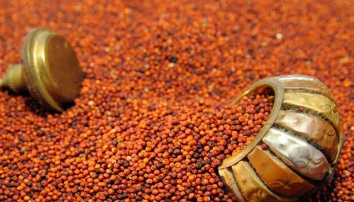 മുടികൊഴിച്ചിലൊക്കെ ഇനി പമ്പ കടക്കും..; ശരീരഭാരം കുറയ്ക്കാനും കേമൻ..; റാഗിയുടെ ആരോഗ്യഗുണങ്ങൾ അറിയാം മുടികൊഴിച്ചിലൊക്കെ ഇനി പമ്പ കടക്കും..; ശരീരഭാരം കുറയ്ക്കാനും കേമൻ..; റാഗിയുടെ ആരോഗ്യഗുണങ്ങൾ അറിയാം