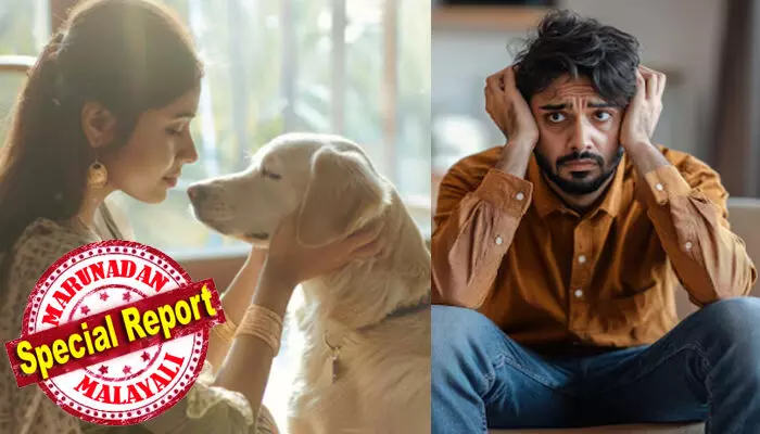 ഭാര്യയ്ക്ക് തെരുവുനായ്ക്കളോട് അമിത സ്നേഹം; കിടക്കയിൽ നിന്ന് നായയെ മാറ്റാൻ ശ്രമിച്ചപ്പോൾ കടിയേറ്റു; പൊതുസമൂഹത്തിലെ മാന്യത നഷ്ടപ്പെട്ടു; ജീവിക്കാനുള്ള ആഗ്രഹം തന്നെ ഇല്ലാതായി; മാനസ്സിക സമ്മർദ്ദം ലൈംഗിക ശേഷി ഇല്ലാതാക്കി; വിവാഹമോചനം ആവശ്യപ്പെട്ട് ഭർത്താവ് ഹൈക്കോടതിയിൽ
