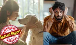 ഭാര്യയ്ക്ക് തെരുവുനായ്ക്കളോട് അമിത സ്നേഹം; കിടക്കയിൽ നിന്ന് നായയെ മാറ്റാൻ ശ്രമിച്ചപ്പോൾ കടിയേറ്റു; പൊതുസമൂഹത്തിലെ മാന്യത നഷ്ടപ്പെട്ടു; ജീവിക്കാനുള്ള ആഗ്രഹം തന്നെ ഇല്ലാതായി; മാനസ്സിക സമ്മർദ്ദം ലൈംഗിക ശേഷി ഇല്ലാതാക്കി; വിവാഹമോചനം ആവശ്യപ്പെട്ട് ഭർത്താവ് ഹൈക്കോടതിയിൽ