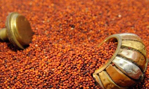 മുടികൊഴിച്ചിലൊക്കെ ഇനി പമ്പ കടക്കും..; ശരീരഭാരം കുറയ്ക്കാനും കേമൻ..; റാ​ഗിയുടെ ആരോ​ഗ്യ​ഗുണങ്ങൾ അറിയാം