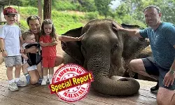 ബ്രിട്ടനിലെ രാജകീയ ജീവിതം ബോറടിച്ചു! തായ്ലാന്‍ഡിലേക്ക് താമസം മാറ്റി അടിപൊളി ജീവിതം നയിച്ചു ബ്രിട്ടീഷ് കുടുംബം;  നാട്ടിലെ വീട് വിറ്റ് തായ്‌ലന്റില്‍ പുതിയ ജീവിതം തുടങ്ങി അമേലിയ ഇവാന്‍സും ബില്ലി ഇവാന്‍സും