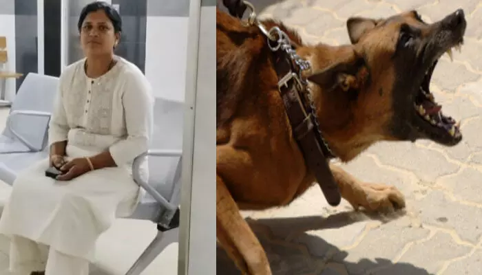 പ്രചാരണത്തിനായി ഒരു വീട്ടിലേക്ക് ചെന്ന് കയറവേ പാഞ്ഞെത്തിയ നായയുടെ കടിയേറ്റു; പിന്നാലെ ആശുപത്രിയിലെത്തിച്ച് ചികിത്സ; എന്നിട്ടും പതറാതെ ജാൻസി മുന്നോട്ട് പ്രചാരണത്തിനായി ഒരു വീട്ടിലേക്ക് ചെന്ന് കയറവേ പാഞ്ഞെത്തിയ നായയുടെ കടിയേറ്റു; പിന്നാലെ ആശുപത്രിയിലെത്തിച്ച് ചികിത്സ; എന്നിട്ടും പതറാതെ ജാൻസി മുന്നോട്ട്