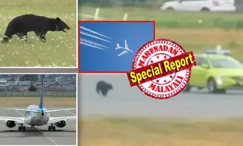 40,000 അടിയിൽ ലക്ഷ്യ സ്ഥാനം നോക്കി പതിയെ താഴ്ന്ന് പറന്ന വിമാനം; പെട്ടെന്ന് കോക്ക്പിറ്റിൽ പൈലറ്റിന് ഒബ്സ്റ്റിക്കിൾ വാണിംഗ്; റൺവേക്ക് ചുറ്റും തുള്ളിച്ചാടി ഒരു കൊടുംഭീകരൻ; വൻ ദുരന്തം ഒഴിവായത് തലനാരിഴയ്ക്ക് 40,000 അടിയിൽ ലക്ഷ്യ സ്ഥാനം നോക്കി പതിയെ താഴ്ന്ന് പറന്ന വിമാനം; പെട്ടെന്ന് കോക്ക്പിറ്റിൽ പൈലറ്റിന് ഒബ്സ്റ്റിക്കിൾ വാണിംഗ്; റൺവേക്ക് ചുറ്റും തുള്ളിച്ചാടി ഒരു കൊടുംഭീകരൻ; വൻ ദുരന്തം ഒഴിവായത് തലനാരിഴയ്ക്ക്