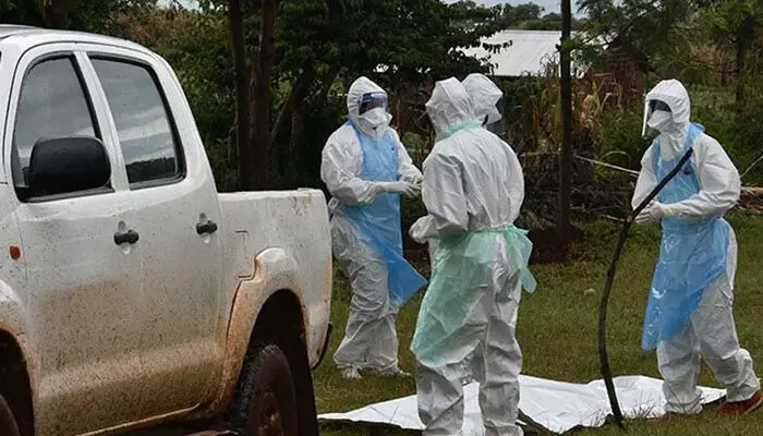 എത്യോപ്യയില് മാരകമായ മാര്ബഗ് വൈറസ് വ്യാപിക്കുന്നു; 88 ശതമാനം മരണനിരക്കുള്ള വൈറസ് അതീവ അപകടകാരി എത്യോപ്യയില് മാരകമായ മാര്ബഗ് വൈറസ് വ്യാപിക്കുന്നു; 88 ശതമാനം മരണനിരക്കുള്ള വൈറസ് അതീവ അപകടകാരി