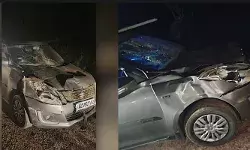 റോഡ് മുറിച്ച് കടന്ന കാട്ടാനയെ ഇടിച്ച് തെറിപ്പിച്ച് കാര്; ഇടികൊണ്ട ആന കാറിന് മുകളിലേക്ക് വീണ് കാര് തകര്ന്നു; യാത്രക്കാരെ ആക്രമിച്ചില്ല; പരിക്കേറ്റ ആനയെ കണ്ടെത്താന് ശ്രമം റോഡ് മുറിച്ച് കടന്ന കാട്ടാനയെ ഇടിച്ച് തെറിപ്പിച്ച് കാര്; ഇടികൊണ്ട ആന കാറിന് മുകളിലേക്ക് വീണ് കാര് തകര്ന്നു; യാത്രക്കാരെ ആക്രമിച്ചില്ല; പരിക്കേറ്റ ആനയെ കണ്ടെത്താന് ശ്രമം