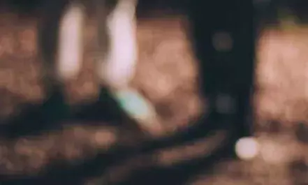 കണ്ണൂര് വെള്ളോറയില് യുവാവ് വെടിയേറ്റു മരിച്ചു; മരിച്ചത് താഴെ എടക്കോത്തെ നെല്ലംകുഴിയില് ഷിജോ; വെടിപൊട്ടിയത് നായാട്ടിനിടെ; ഷൈന് കസ്റ്റഡിയില് കണ്ണൂര് വെള്ളോറയില് യുവാവ് വെടിയേറ്റു മരിച്ചു; മരിച്ചത് താഴെ എടക്കോത്തെ നെല്ലംകുഴിയില് ഷിജോ; വെടിപൊട്ടിയത് നായാട്ടിനിടെ; ഷൈന് കസ്റ്റഡിയില്