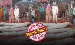 വിവാഹ വേദിയിലേക്ക് കയറാന് ഒരുങ്ങവെ മുമ്പിലായി വെളുത്ത തുണിയില് പൊതിഞ്ഞ രൂപങ്ങൾ; ഒറ്റനോട്ടത്തിൽ മൃതദേഹങ്ങൾക്ക് സമം; വേദി മാറിപ്പോയോയെന്ന് വരെ തോന്നിയ നിമിഷം; ഒടുവിൽ സംഭിച്ചത്; വൈറലായി വധൂവരന്മാരുടെ എൻട്രി വിവാഹ വേദിയിലേക്ക് കയറാന് ഒരുങ്ങവെ മുമ്പിലായി വെളുത്ത തുണിയില് പൊതിഞ്ഞ രൂപങ്ങൾ; ഒറ്റനോട്ടത്തിൽ മൃതദേഹങ്ങൾക്ക് സമം; വേദി മാറിപ്പോയോയെന്ന് വരെ തോന്നിയ നിമിഷം; ഒടുവിൽ സംഭിച്ചത്; വൈറലായി വധൂവരന്മാരുടെ എൻട്രി