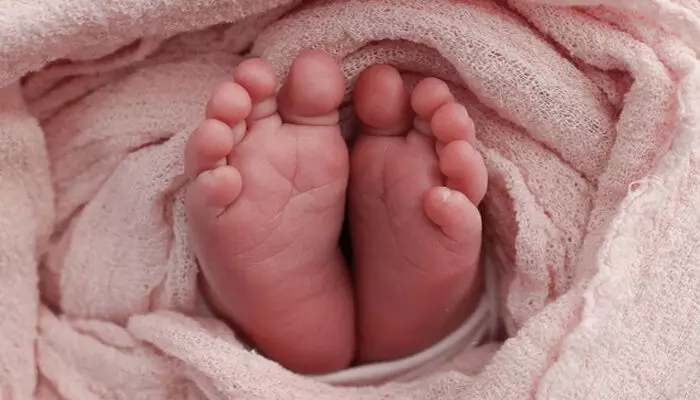 നഴ്‌സ് ചമഞ്ഞ് നവജാത ശിശുവിനെ തട്ടിയെടുത്തു; യുവതി കുഞ്ഞുമായി കടന്നത് അമ്മയുമായി സൗഹൃദം സ്ഥാപിച്ച ശേഷം: സംഭവം കൊല്‍ക്കത്തയിലെ ആശുപത്രിയില്‍