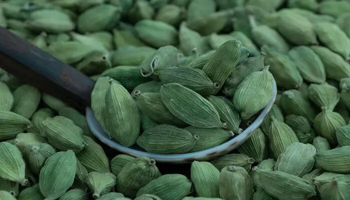 ഉത്പാദനം മെച്ചപ്പെട്ടു; ഏലം വിലയില് ഇടിവ് ഉത്പാദനം മെച്ചപ്പെട്ടു; ഏലം വിലയില് ഇടിവ്